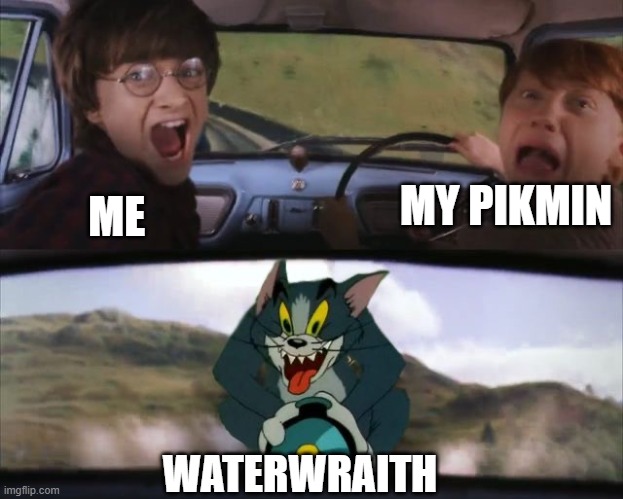Pikmin Meme | MY PIKMIN; ME; WATERWRAITH | image tagged in tom chasing harry and ron weasly | made w/ Imgflip meme maker