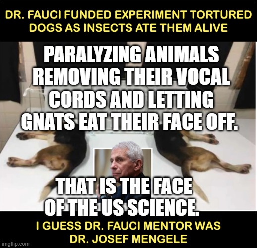 Fauci torturing dogs | PARALYZING ANIMALS REMOVING THEIR VOCAL CORDS AND LETTING GNATS EAT THEIR FACE OFF. THAT IS THE FACE OF THE US SCIENCE. | image tagged in fauci torturing dogs | made w/ Imgflip meme maker