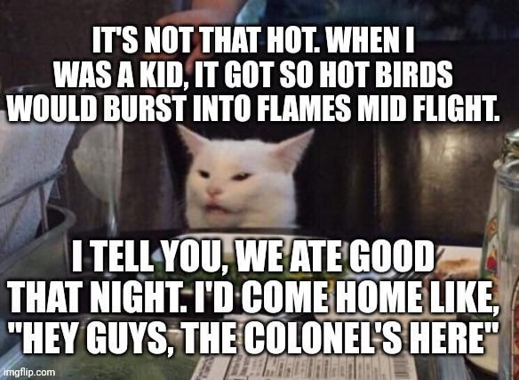 Smudge that darn cat | IT'S NOT THAT HOT. WHEN I WAS A KID, IT GOT SO HOT BIRDS WOULD BURST INTO FLAMES MID FLIGHT. I TELL YOU, WE ATE GOOD THAT NIGHT. I'D COME HOME LIKE, "HEY GUYS, THE COLONEL'S HERE" | image tagged in smudge that darn cat | made w/ Imgflip meme maker