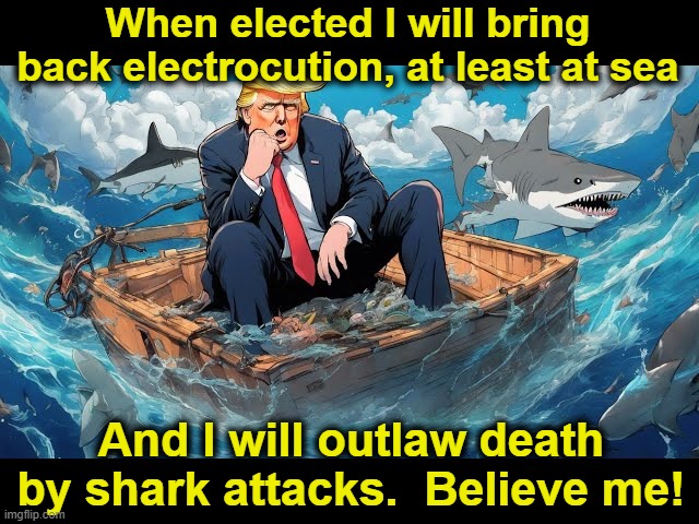 Trump on Sharks and Electrocution | When elected I will bring back electrocution, at least at sea; And I will outlaw death by shark attacks.  Believe me! | image tagged in trump,donald trump is an idiot,nevertrump meme,maga,presidential election,donald trump the clown | made w/ Imgflip meme maker