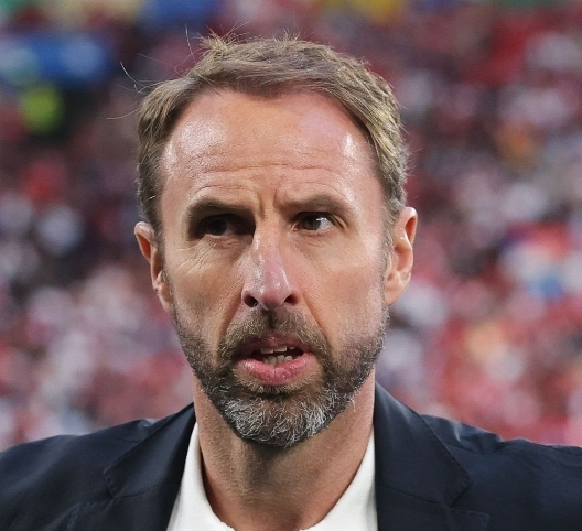 Do something gareth Blank Meme Template