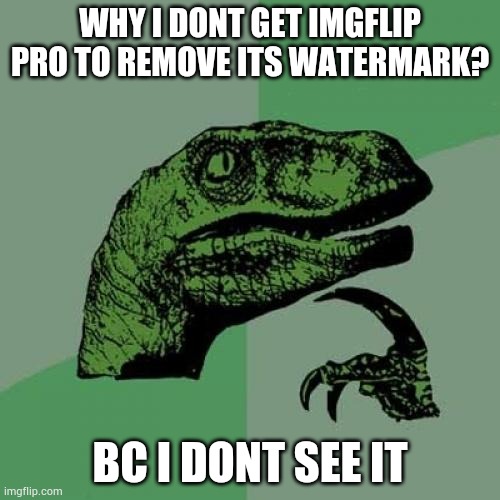 Philosoraptor | WHY I DONT GET IMGFLIP PRO TO REMOVE ITS WATERMARK? BC I DONT SEE IT | image tagged in memes,philosoraptor | made w/ Imgflip meme maker