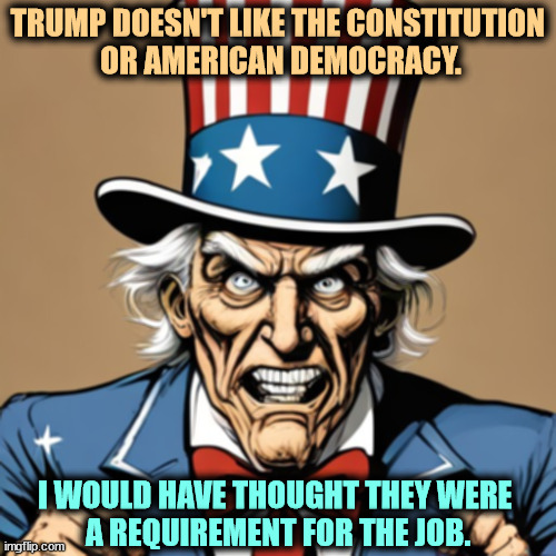 TRUMP DOESN'T LIKE THE CONSTITUTION 
OR AMERICAN DEMOCRACY. I WOULD HAVE THOUGHT THEY WERE 
A REQUIREMENT FOR THE JOB. | image tagged in trump,constitution,democracy,incompetence | made w/ Imgflip meme maker