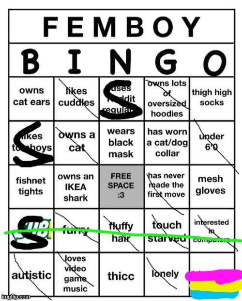Uhhhm..... (S stands for "seldom" or "sometimes") | image tagged in femboy bingo,bingo,femboy,funny | made w/ Imgflip meme maker