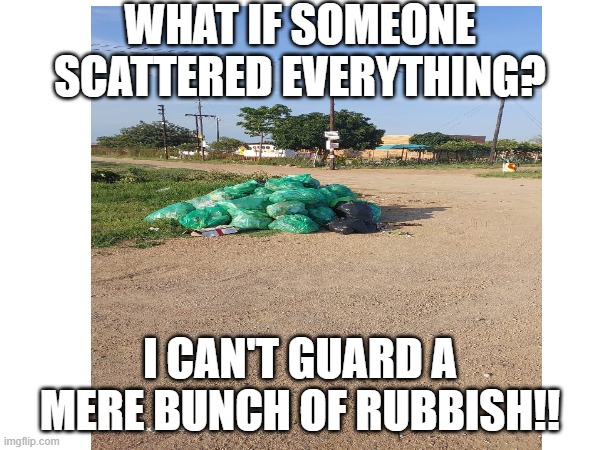 Human attitude towards the environment | WHAT IF SOMEONE SCATTERED EVERYTHING? I CAN'T GUARD A MERE BUNCH OF RUBBISH!! | image tagged in environmental | made w/ Imgflip meme maker