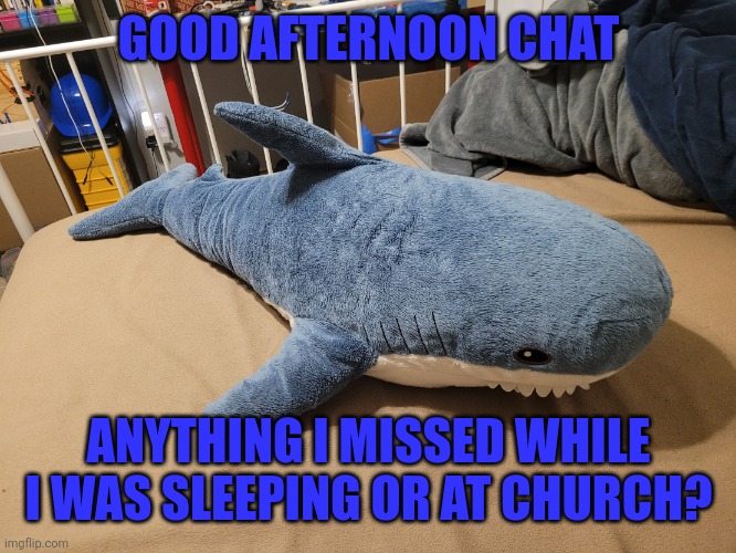 Greetings! | GOOD AFTERNOON CHAT; ANYTHING I MISSED WHILE I WAS SLEEPING OR AT CHURCH? | image tagged in my blahaj | made w/ Imgflip meme maker