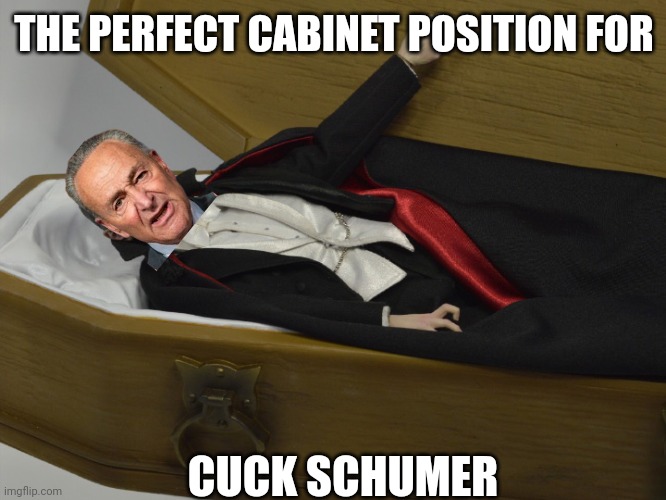 Dracula | THE PERFECT CABINET POSITION FOR CUCK SCHUMER | image tagged in dracula | made w/ Imgflip meme maker