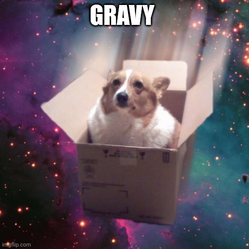 "gravy" | GRAVY | image tagged in gravy | made w/ Imgflip meme maker