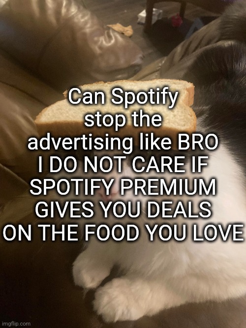 the kinda deals that make you boogie | Can Spotify stop the advertising like BRO I DO NOT CARE IF SPOTIFY PREMIUM GIVES YOU DEALS ON THE FOOD YOU LOVE | image tagged in bread cat | made w/ Imgflip meme maker