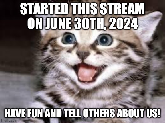 happy cat | STARTED THIS STREAM ON JUNE 30TH, 2024; HAVE FUN AND TELL OTHERS ABOUT US! | image tagged in happy cat,relatable,relatable memes,cats,cute | made w/ Imgflip meme maker