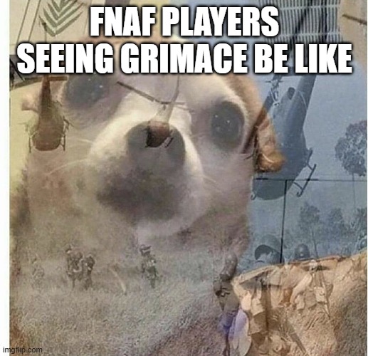 PTSD Chihuahua | FNAF PLAYERS SEEING GRIMACE BE LIKE | image tagged in ptsd chihuahua | made w/ Imgflip meme maker