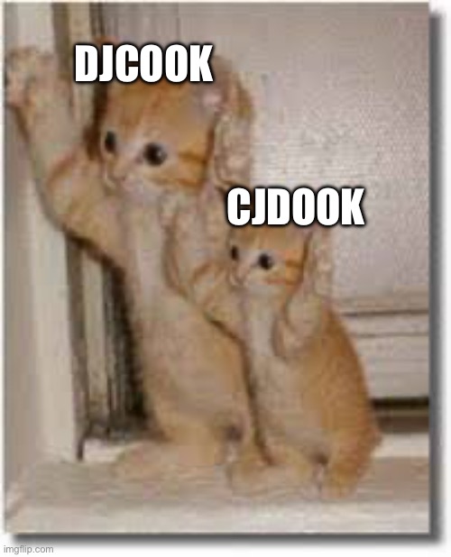 copycat 85% | DJCOOK; CJDOOK | image tagged in copycat 85,cute,memes,fun,cute cat | made w/ Imgflip meme maker