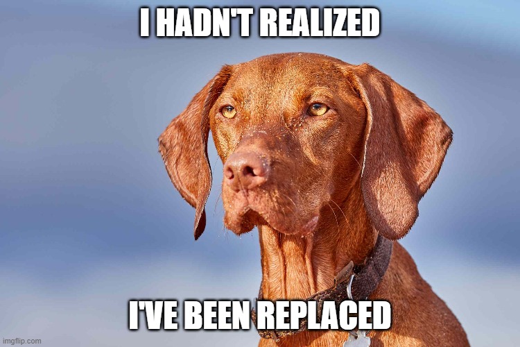 I HADN'T REALIZED; I'VE BEEN REPLACED | made w/ Imgflip meme maker