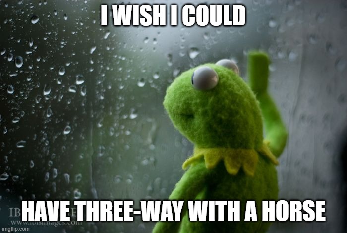 kermit window | I WISH I COULD; HAVE THREE-WAY WITH A HORSE | image tagged in kermit window | made w/ Imgflip meme maker