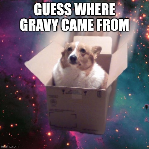 "gravy" | GUESS WHERE GRAVY CAME FROM | image tagged in gravy | made w/ Imgflip meme maker