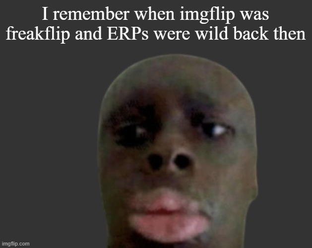 MS_freaky_group | I remember when imgflip was freakflip and ERPs were wild back then | image tagged in k k | made w/ Imgflip meme maker