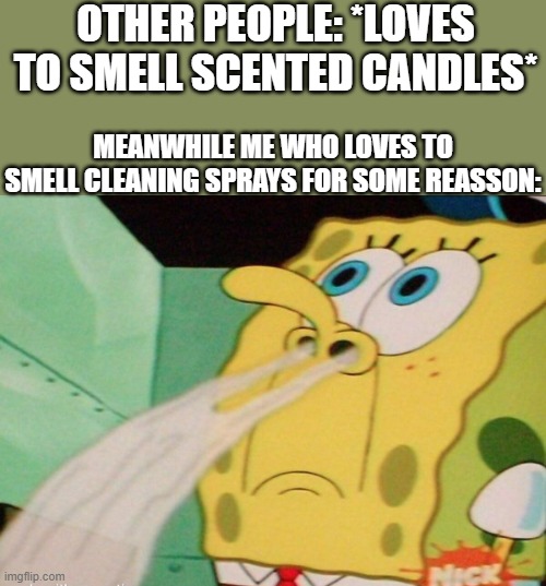 Don't Be Mean You Probably Like How Cleaning Sprays Smell To | OTHER PEOPLE: *LOVES TO SMELL SCENTED CANDLES*; MEANWHILE ME WHO LOVES TO SMELL CLEANING SPRAYS FOR SOME REASSON: | image tagged in spongebob smelling | made w/ Imgflip meme maker