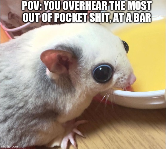 POV: YOU OVERHEAR THE MOST OUT OF POCKET SHIT, AT A BAR | image tagged in memes,funny,cute,animals | made w/ Imgflip meme maker