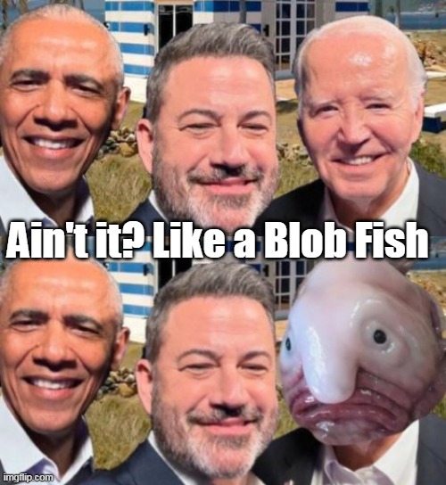 Ain't it? Like a Blob Fish | made w/ Imgflip meme maker