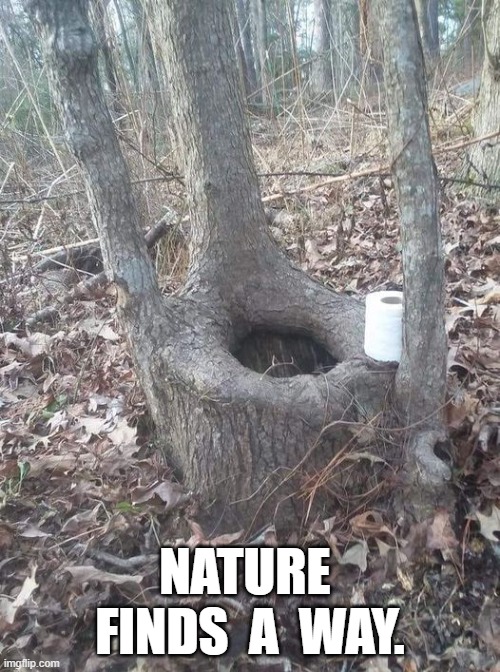 Nature | NATURE  FINDS  A  WAY. | image tagged in nature | made w/ Imgflip meme maker
