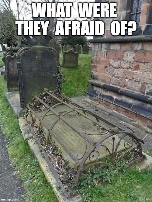 Fear | WHAT  WERE  THEY  AFRAID  OF? | image tagged in gravestone | made w/ Imgflip meme maker