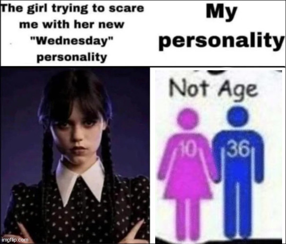 Joke | image tagged in the girl trying to scare me with her new wednesday personality | made w/ Imgflip meme maker