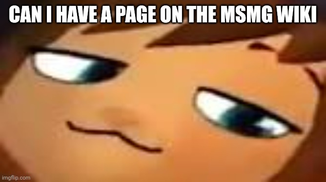 smug hat kid.mp4 | CAN I HAVE A PAGE ON THE MSMG WIKI | image tagged in smug hat kid mp4 | made w/ Imgflip meme maker
