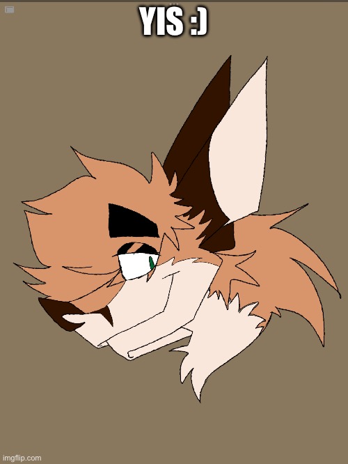 Silly little fox drawing | YIS :) | image tagged in furry memes | made w/ Imgflip meme maker
