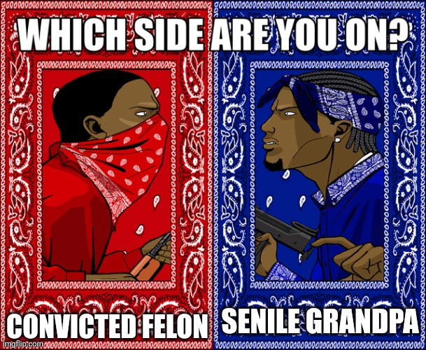 American politics moment | CONVICTED FELON; SENILE GRANDPA | image tagged in which side are you on,real,memes,funny,relatable,politics | made w/ Imgflip meme maker