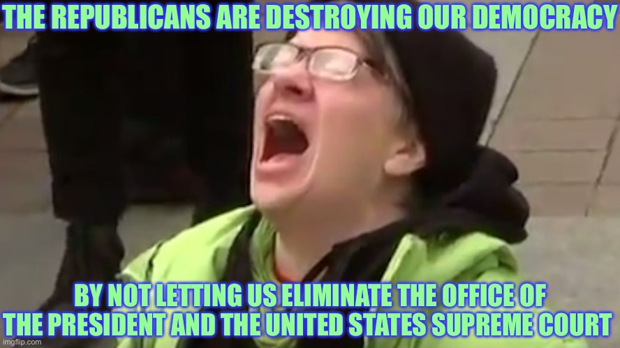 Screaming Liberal  | THE REPUBLICANS ARE DESTROYING OUR DEMOCRACY; BY NOT LETTING US ELIMINATE THE OFFICE OF THE PRESIDENT AND THE UNITED STATES SUPREME COURT | image tagged in screaming liberal,liberal logic,liberal hypocrisy,stupid liberals | made w/ Imgflip meme maker