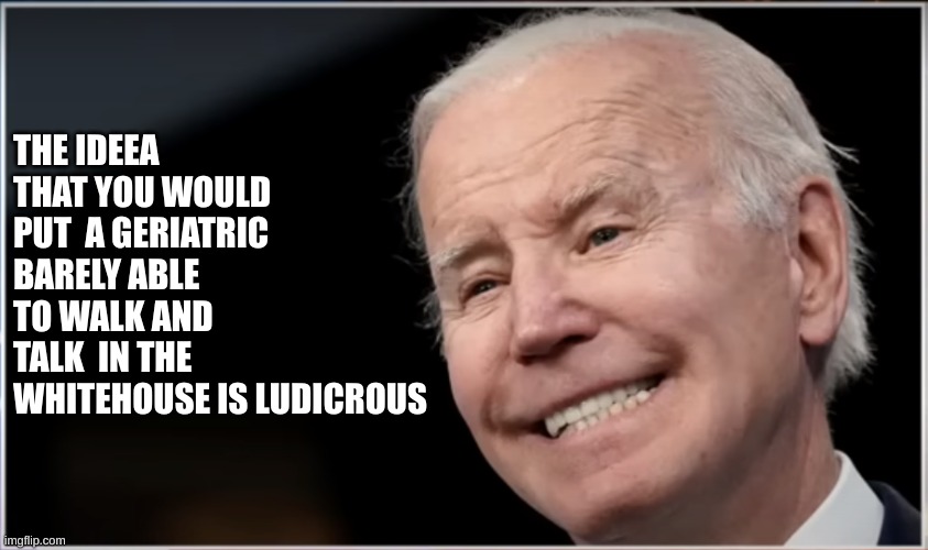 joe biden - Geezer, Goon, Groper | THE IDEEA THAT YOU WOULD PUT  A GERIATRIC BARELY ABLE TO WALK AND TALK  IN THE WHITEHOUSE IS LUDICROUS | image tagged in joe biden - geezer goon groper | made w/ Imgflip meme maker