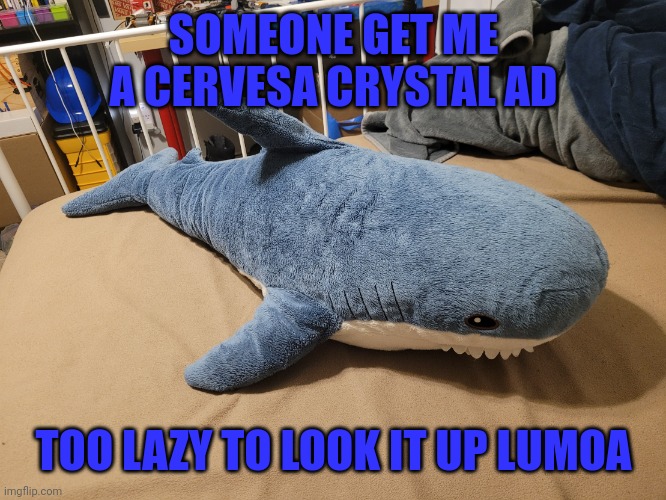 Please help please help please help pwetty pweaseee :3 | SOMEONE GET ME A CERVESA CRYSTAL AD; TOO LAZY TO LOOK IT UP LUMOA | image tagged in my blahaj | made w/ Imgflip meme maker