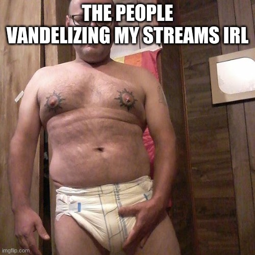Man child with no life | THE PEOPLE VANDELIZING MY STREAMS IRL | image tagged in man child with no life | made w/ Imgflip meme maker
