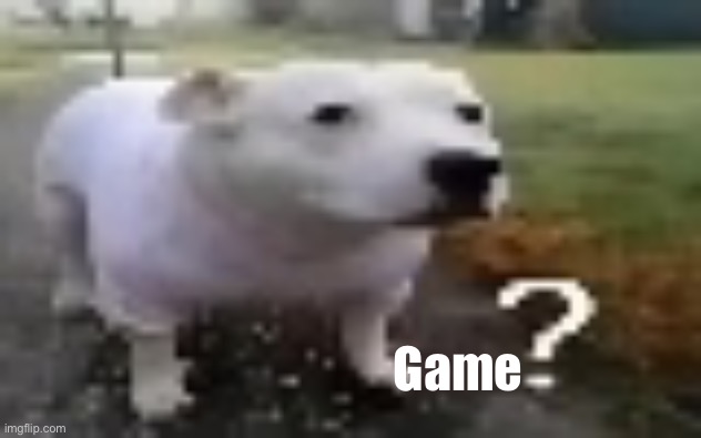 huh | Game | image tagged in huh | made w/ Imgflip meme maker
