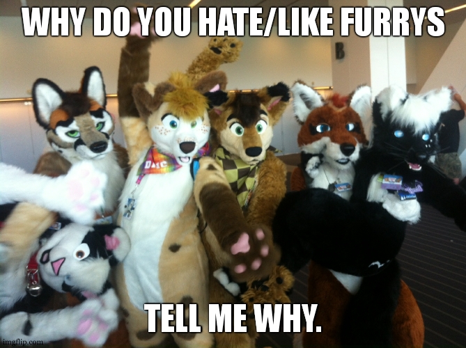 question about furrys | WHY DO YOU HATE/LIKE FURRYS; TELL ME WHY. | image tagged in furries,furry,anti-furry,question | made w/ Imgflip meme maker