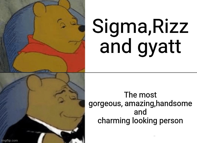 Why need brainrot? | Sigma,Rizz and gyatt; The most gorgeous, amazing,handsome and charming looking person | image tagged in memes,tuxedo winnie the pooh,funny,gen alpha | made w/ Imgflip meme maker