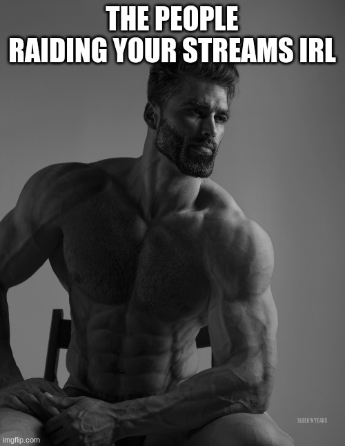 Giga Chad | THE PEOPLE RAIDING YOUR STREAMS IRL | image tagged in giga chad | made w/ Imgflip meme maker