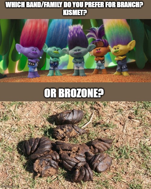 trolls band together meme | WHICH BAND/FAMILY DO YOU PREFER FOR BRANCH? 
KISMET? OR BROZONE? | image tagged in trolls memes,trolls band together memes,trolls brozone memes | made w/ Imgflip meme maker