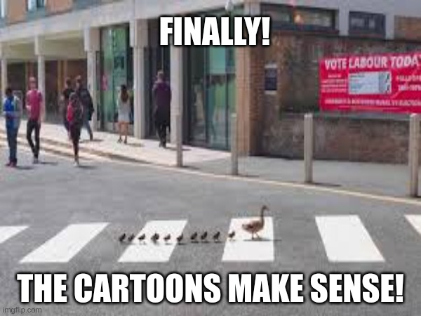 Hello, cartoons? I'm sorry for criticizing you as a child. | FINALLY! THE CARTOONS MAKE SENSE! | image tagged in cartoon making sense | made w/ Imgflip meme maker