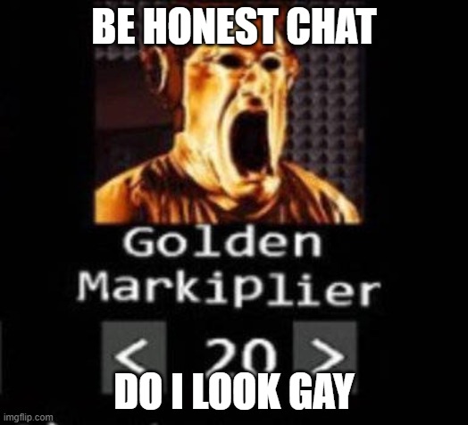 Golden Markiplier | BE HONEST CHAT; DO I LOOK GAY | image tagged in golden markiplier | made w/ Imgflip meme maker