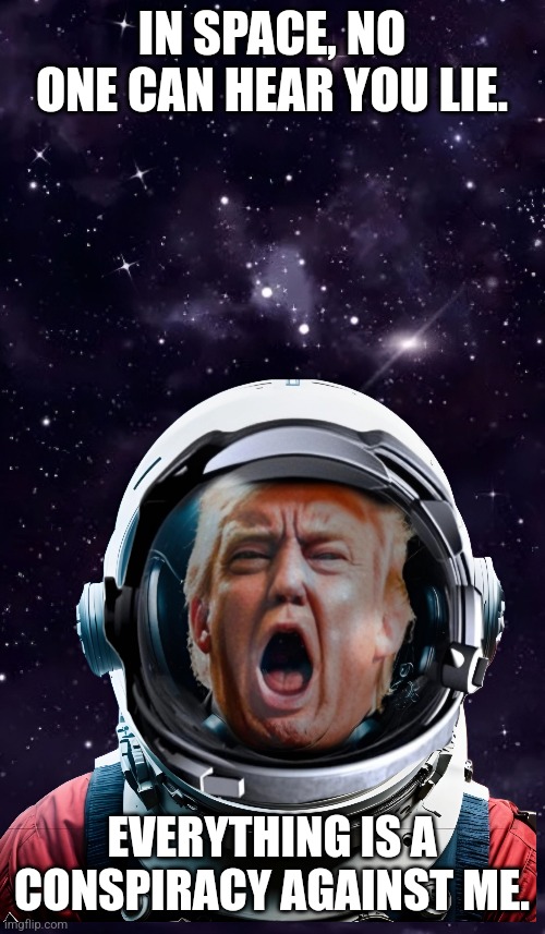 Deep Space Don | IN SPACE, NO ONE CAN HEAR YOU LIE. EVERYTHING IS A CONSPIRACY AGAINST ME. | image tagged in donald trump,debate lies,nuts | made w/ Imgflip meme maker