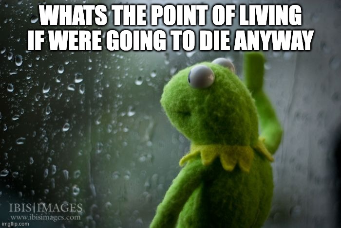 kermit window | WHATS THE POINT OF LIVING IF WERE GOING TO DIE ANYWAY | image tagged in kermit window | made w/ Imgflip meme maker