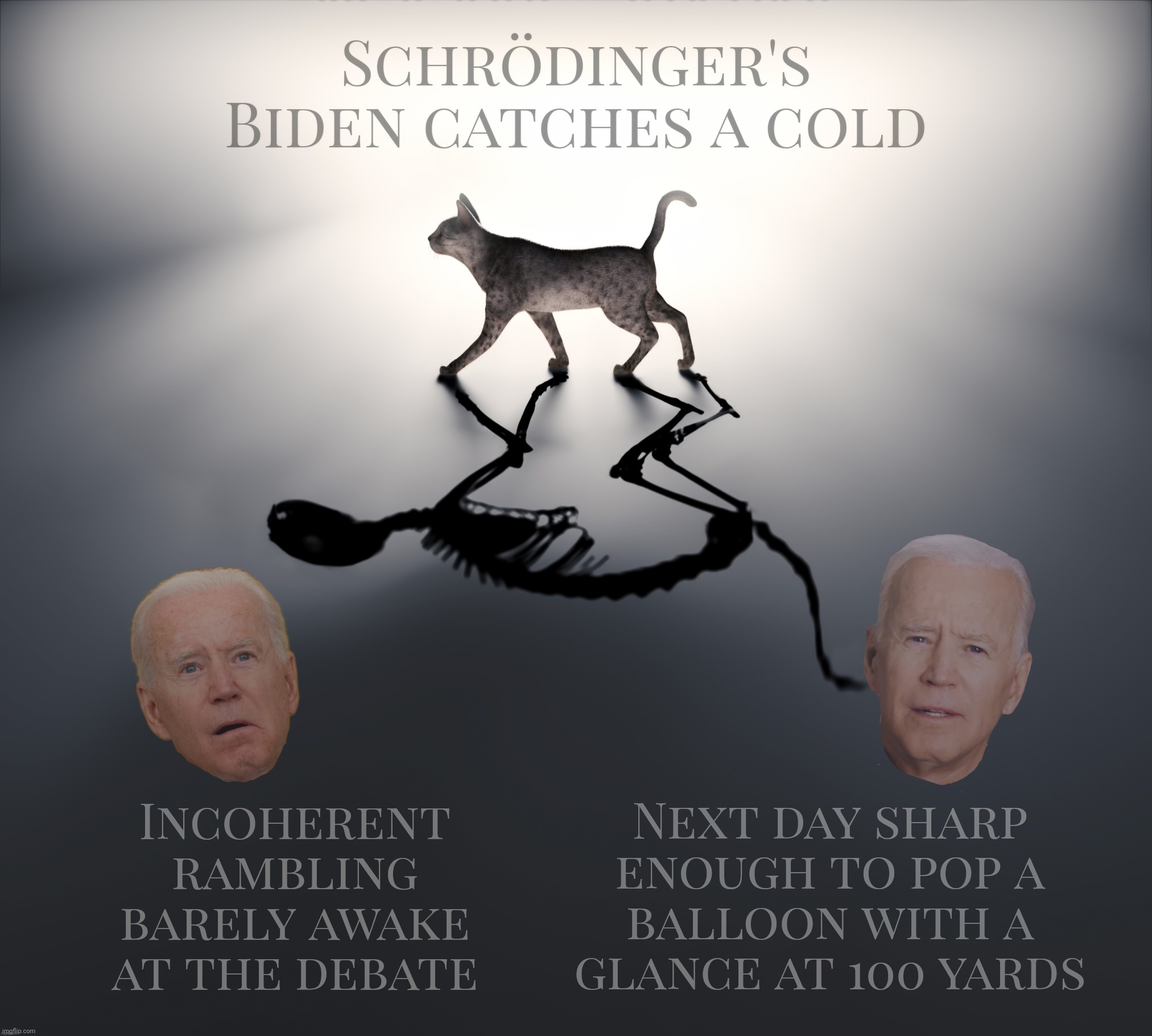 Schrodinger's Cat | Schrödinger's
Biden catches a cold Incoherent rambling barely awake at the debate Next day sharp enough to pop a
balloon with a
glance at 10 | image tagged in schrodinger's cat | made w/ Imgflip meme maker