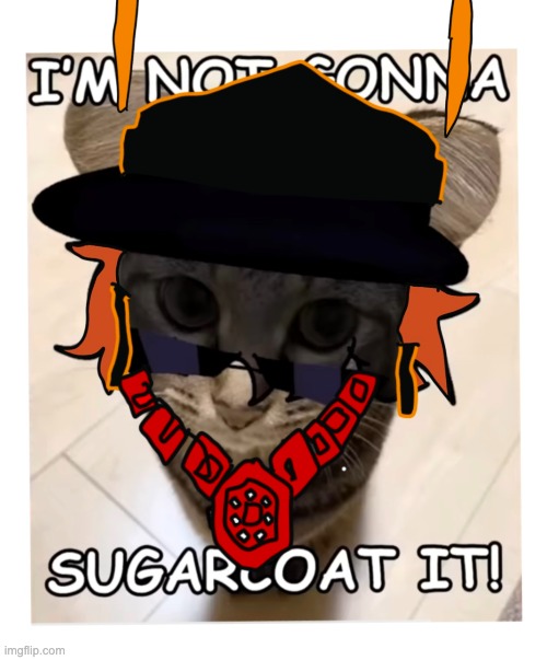 Cute FireHoe Cat | image tagged in funny cats,sugar | made w/ Imgflip meme maker