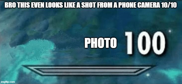 Skyrim skill meme | BRO THIS EVEN LOOKS LIKE A SHOT FROM A PHONE CAMERA 10/10 PHOTO | image tagged in skyrim skill meme | made w/ Imgflip meme maker