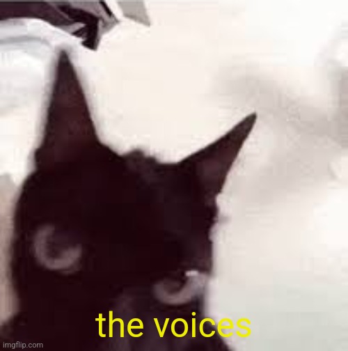 The voices | the voices | image tagged in the voices | made w/ Imgflip meme maker