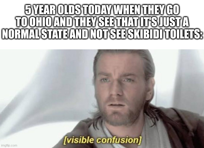 Visible Confusion | 5 YEAR OLDS TODAY WHEN THEY GO TO OHIO AND THEY SEE THAT IT'S JUST A NORMAL STATE AND NOT SEE SKIBIDI TOILETS: | image tagged in visible confusion,memes,gen alpha,funny,drake hotline bling | made w/ Imgflip meme maker