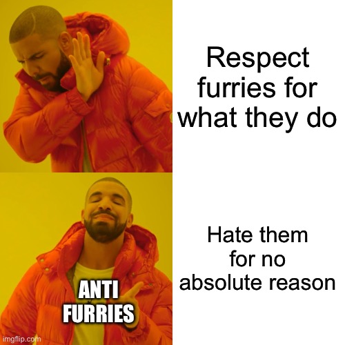 I will respect an anti furry but I think this is funny | Respect furries for what they do; Hate them for no absolute reason; ANTI FURRIES | image tagged in memes,drake hotline bling | made w/ Imgflip meme maker