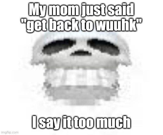 Glad she doesn't know the context (yes it was with the accent) | My mom just said "get back to wuuhk"; I say it too much | image tagged in skl | made w/ Imgflip meme maker