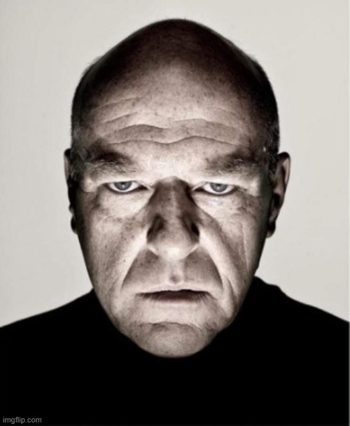 Hank from Breaking Bad | image tagged in sad breaking bad man | made w/ Imgflip meme maker